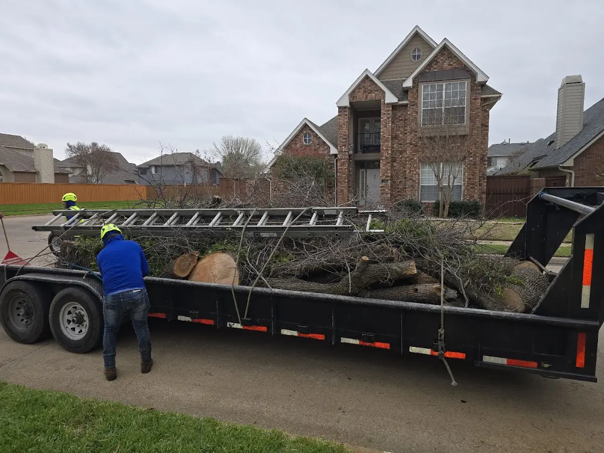 Expert Lot Clearing with proper safety equipment in Summit